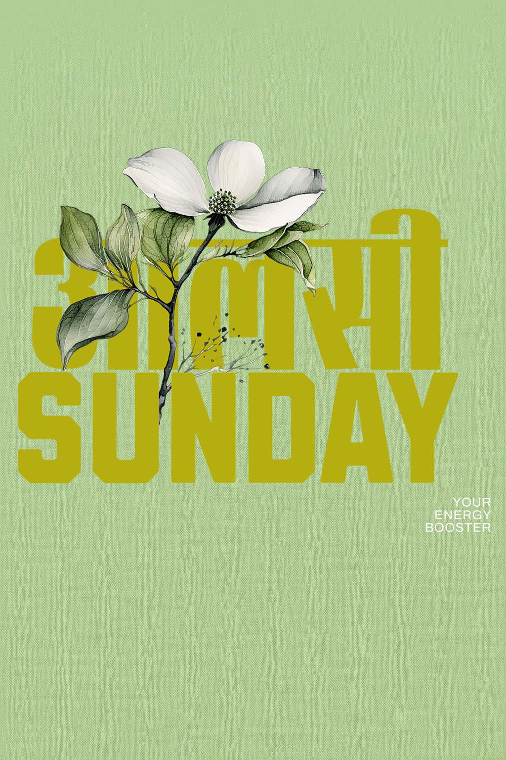 Hindi quote "आलसी Sunday" with floral design on green oversized t-shirt – BANKAZ desi streetwear